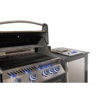 Kuchnia zewnętrzna Napoleon Oasis z Grillem do zabudowy Prestige 500